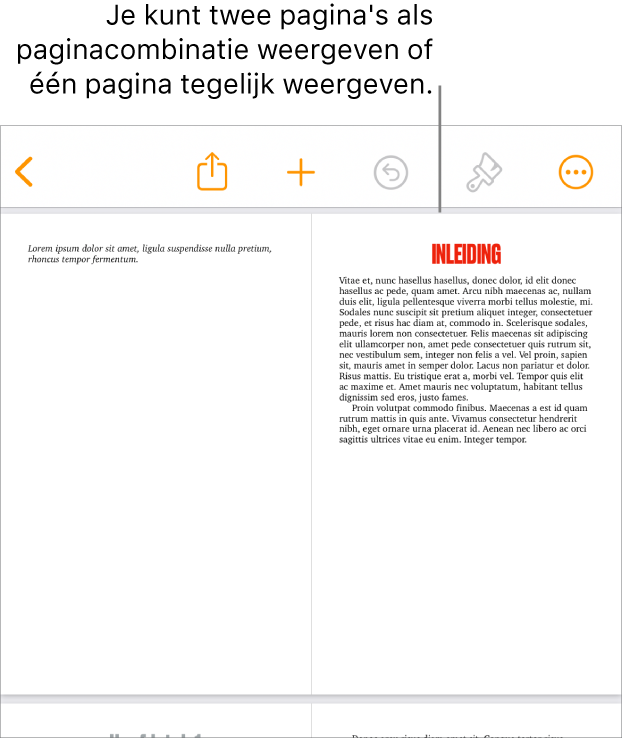 Een document met pagina's weergegeven als paginacombinatie.