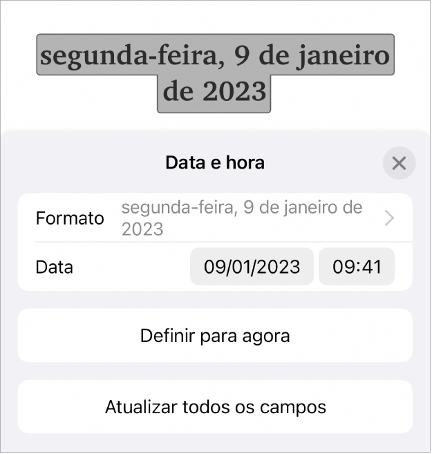 Os controlos “Data e hora” a mostrar um menu pop-up para "Formatação” da data e os botões “Definir para agora” e “Atualizar todos os campos”.