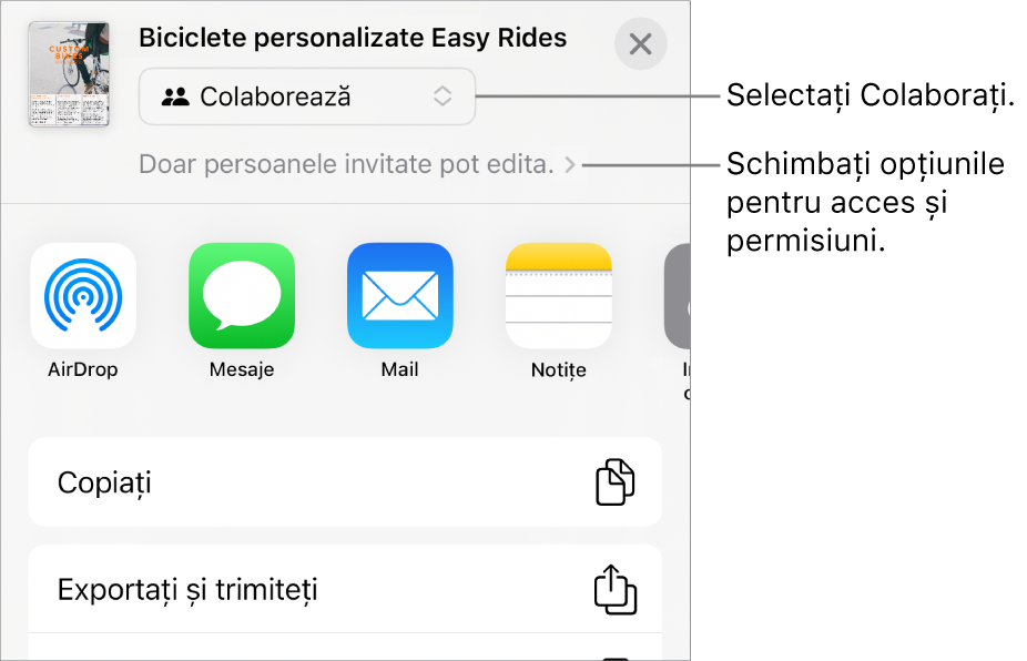 Meniul Partajați, cu opțiunea Colaborați selectată în partea de sus și configurările de acces și permisiune dedesubt.