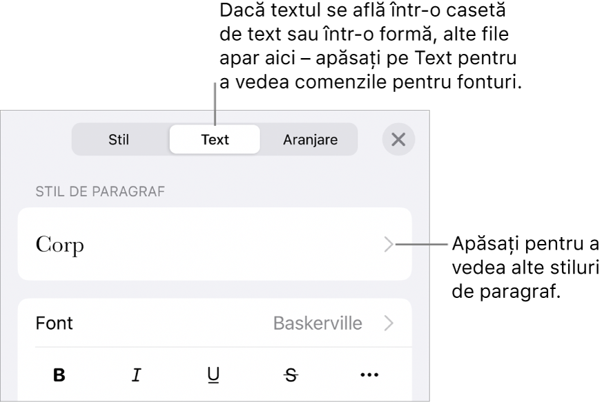 Meniul Format afișând comenzi de text pentru configurarea stilurilor, fonturilor, dimensiunii și culorii paragrafelor și caracterelor.