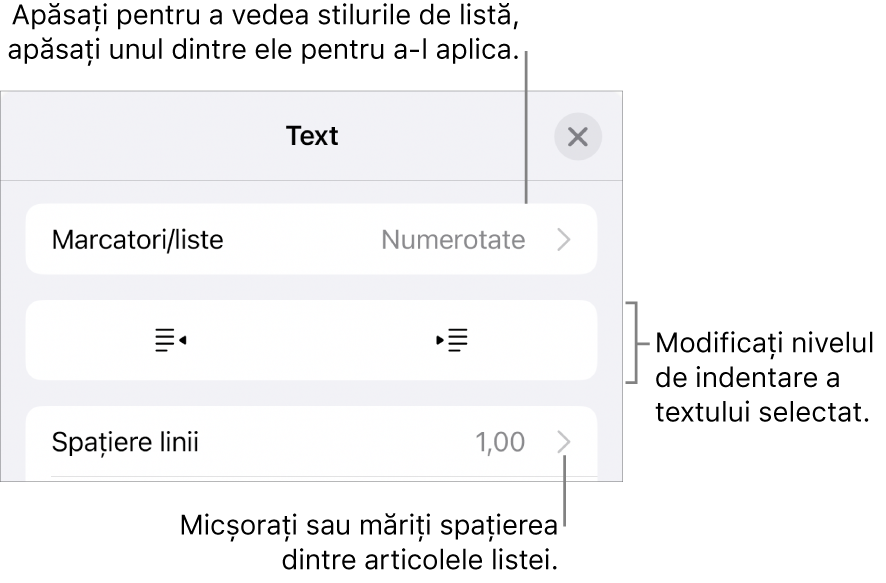 Secțiunea Marcatori/liste din comenzile Format cu explicații pentru Marcatori/liste, butoanele de indentare și indentare exterioară, precum și comenzile pentru spațierea liniilor.