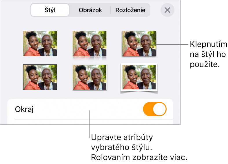 Tab Štýl so štýlmi obrázka v hornej časti a tlačidlo Možnosti štýlu v dolnej časti.