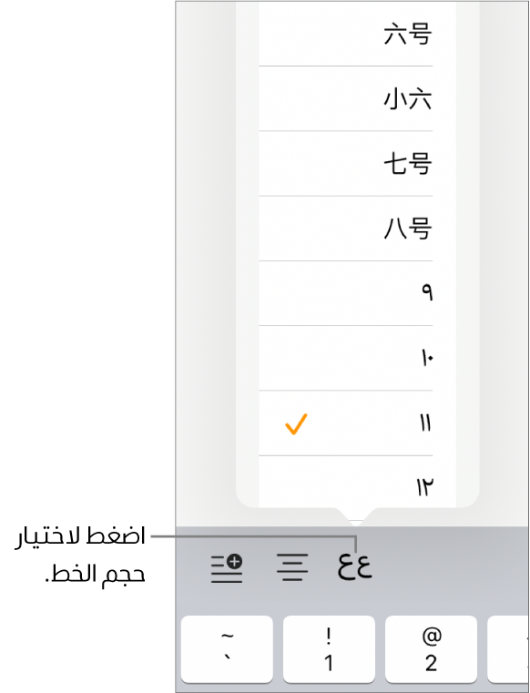 زر حجم الخط على الجهة اليسرى من لوحة مفاتيح الـ iPad وبها قائمة حجم الخط مفتوحة. أحجام الخط القياسية لحكومة بر الصين الرئيسي تظهر في أعلى القائمة مع أحجام النقاط في الأسفل.