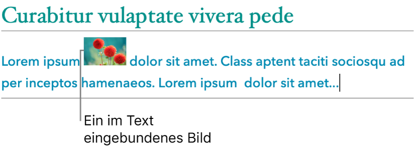 Ein Bild, das im Text eingebunden platziert ist