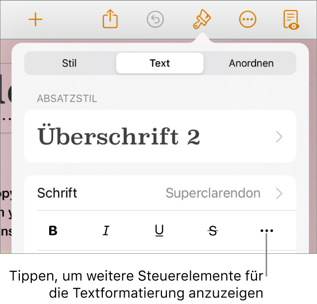 Der Tab „Text“ der Formatsteuerungen mit einer Beschreibung für die Taste „Weitere Textoptionen“.