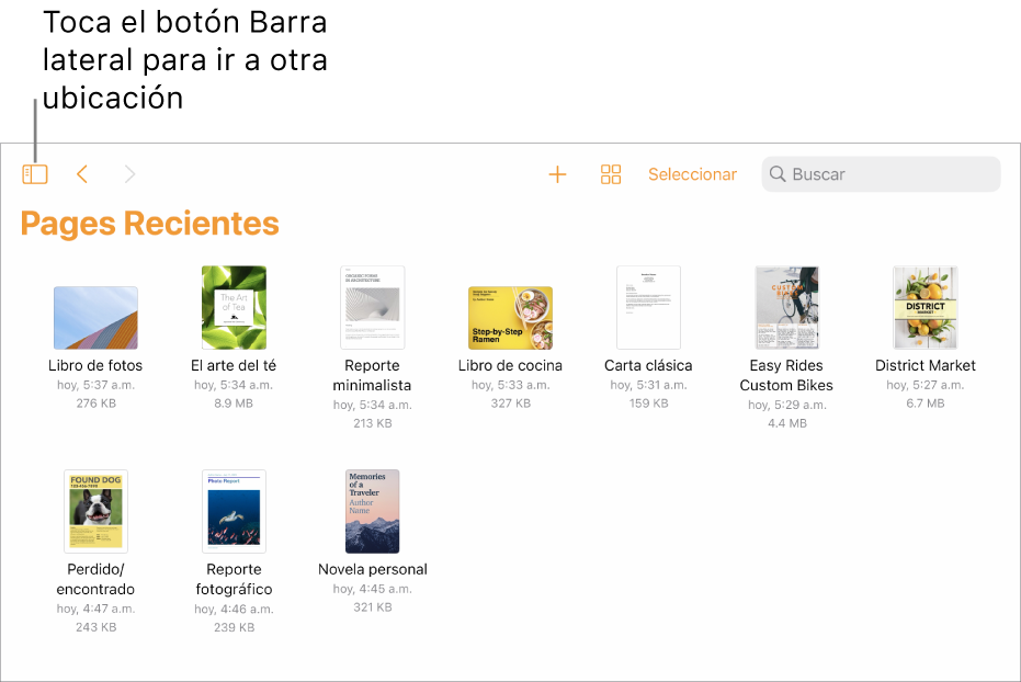 La vista de exploración del administrador de documentos con el botón Barra lateral en la esquina superior izquierda. En la parte superior derecha están el botón Agregar, el botón Nueva carpeta, el botón Íconos (para ordenar por nombre, fecha, tamaño o etiqueta), el botón Seleccionar y el botón Buscar. Debajo hay miniaturas de los documentos existentes.