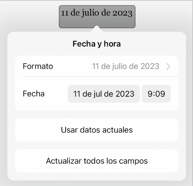 Los controles de Fecha y hora con un menú desplegable para el formato de fecha y los botones Usar datos celulares y Actualizar todos los campos.