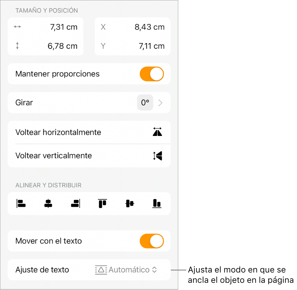 Los controles de formato con la pestaña Disposición seleccionada y controles para “Mover a capa inferior/superior”, “Mover con el texto” y “Ajuste de texto”.