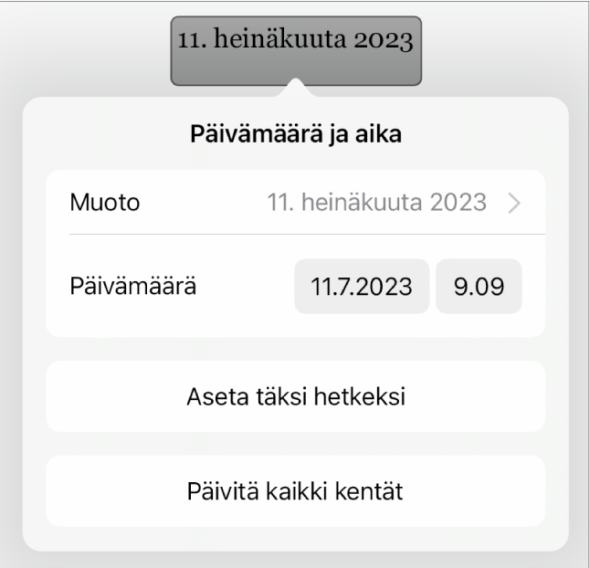 Päivämäärä ja aika ‑säätimet, joissa näkyvät päivämäärän Muoto-ponnahdusvalikko sekä Aseta täksi hetkeksi- ja Päivitä kaikki kentät ‑painikkeet.