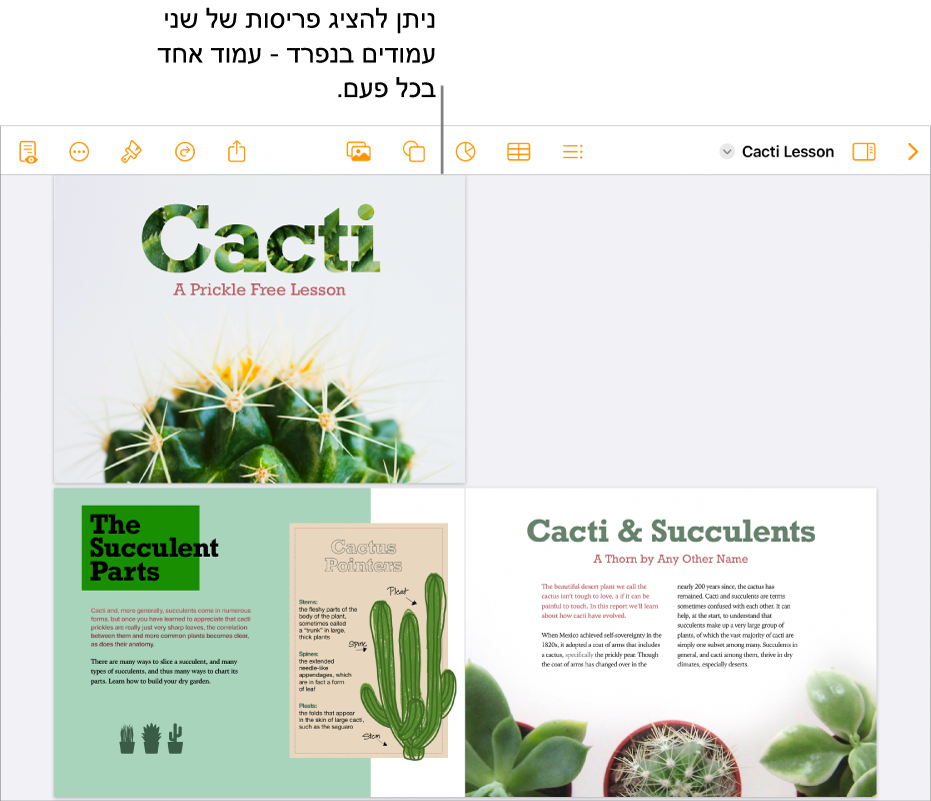 מסמך עם תצוגה של עמודים בפריסת שני עמודים.