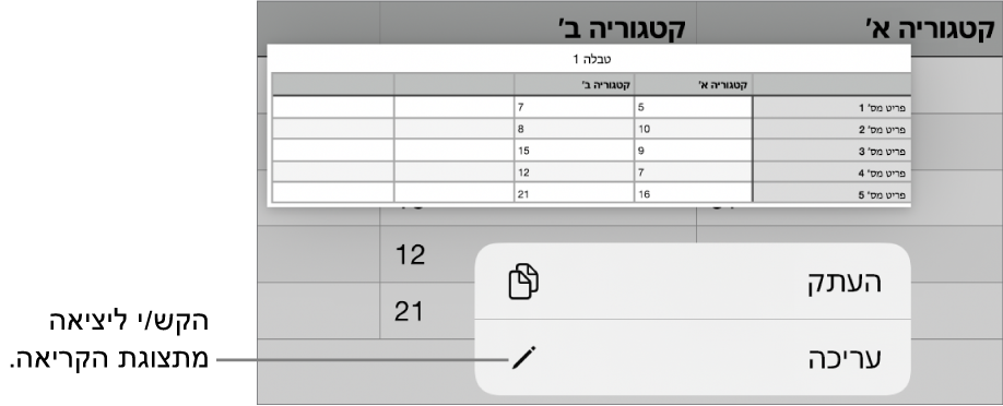 נבחר תא בטבלה, ומעליו מופיע תפריט עם הכפתורים ״העתק״ ו״עריכה״.