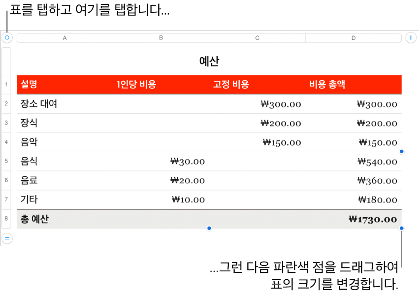 크기 조절용 파란색 점이 있고 선택되어 있는 표.