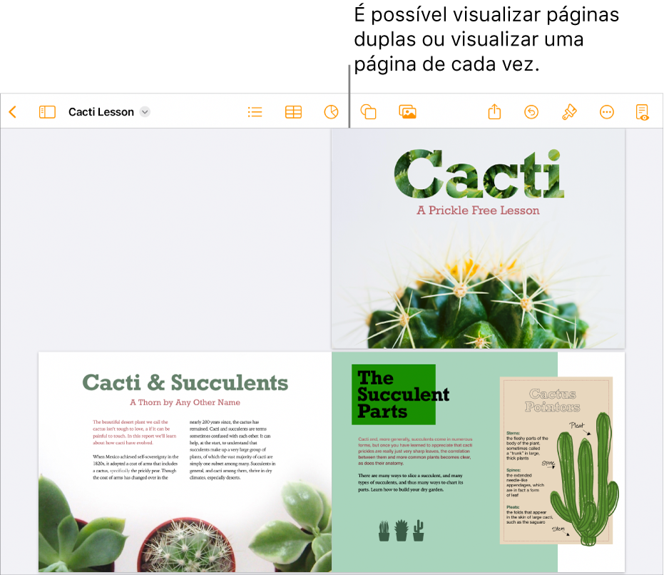 Um documento com páginas visualizadas como páginas duplas.