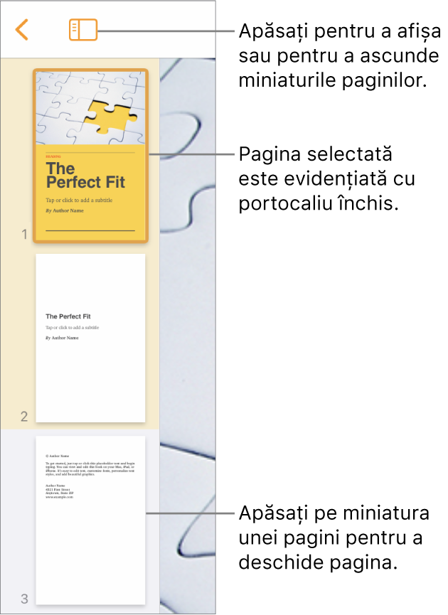 Vizualizarea Miniaturi pagini în partea stângă a ecranului, având selectată o pagină. Butonul Opțiuni de afișare se află deasupra miniaturilor.