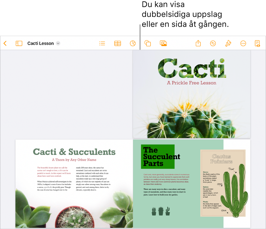Ett dokument där sidorna visas som dubbelsidiga uppslag.