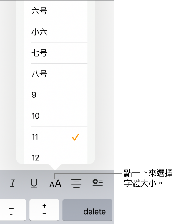 位於 iPad 鍵盤右側的「字體大小」按鈕，已開啟「字體大小」選單。選單最上方會顯示中國大陸政府標準字體大小，下方則顯示點的大小。