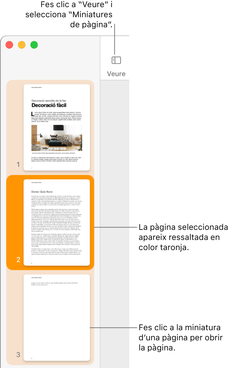 La barra lateral a la part esquerra de la finestra del Pages amb la vista “Miniatures de pàgina” oberta i una pàgina seleccionada que es mostra destacada en color taronja fosc.