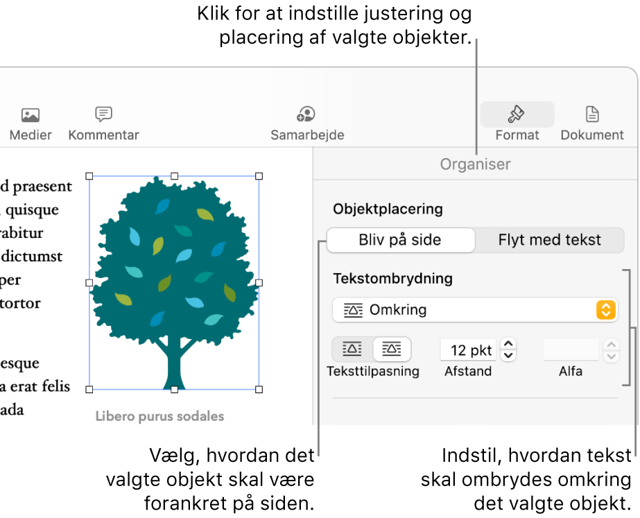 Formatmenuen med indholdsoversigten Arranger. Indstillingerne til Objektplacering er i toppen af indholdsoversigten Arranger, og indstillingerne til Tekstombygning er nedenunder.