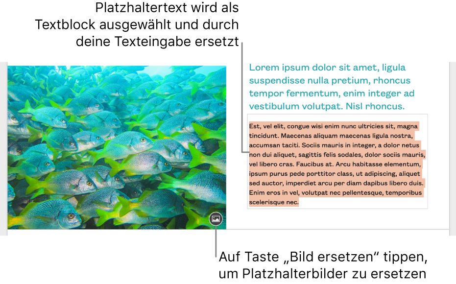 Platzhaltertext und Platzhalterbilder