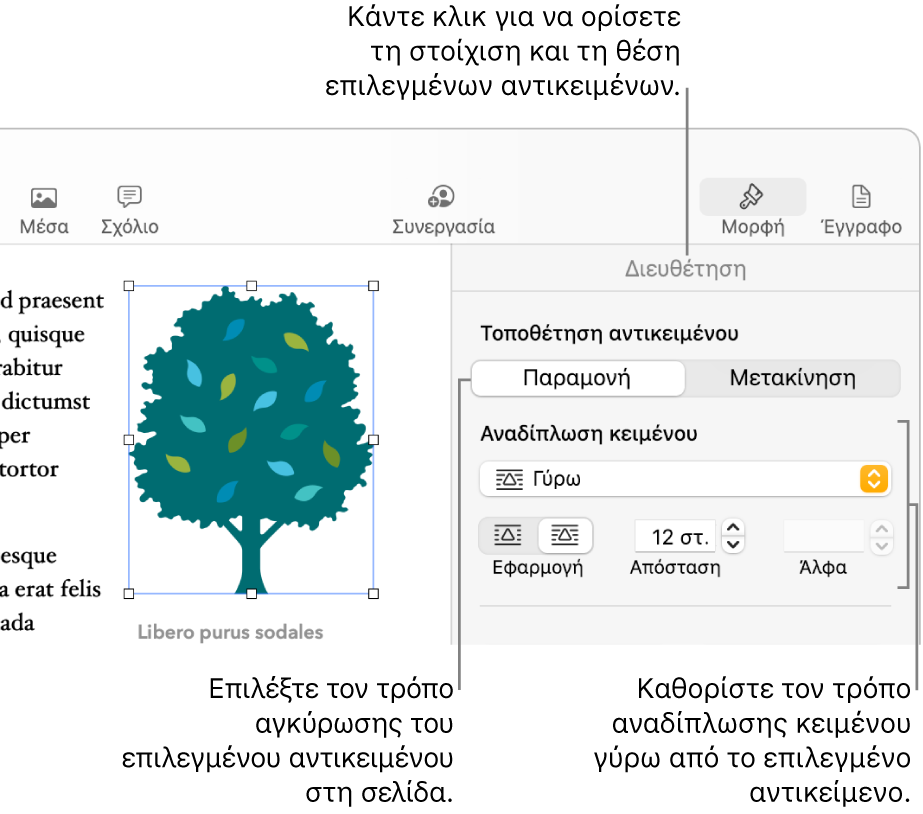 Το μενού «Μορφή» όπου φαίνεται η πλαϊνή στήλη «Διευθέτηση». Οι ρυθμίσεις «Τοποθέτηση αντικειμένου» βρίσκονται στο πάνω μέρος της πλαϊνής στήλης «Διευθέτηση» και από κάτω είναι οι ρυθμίσεις «Αναδίπλωση κειμένου».