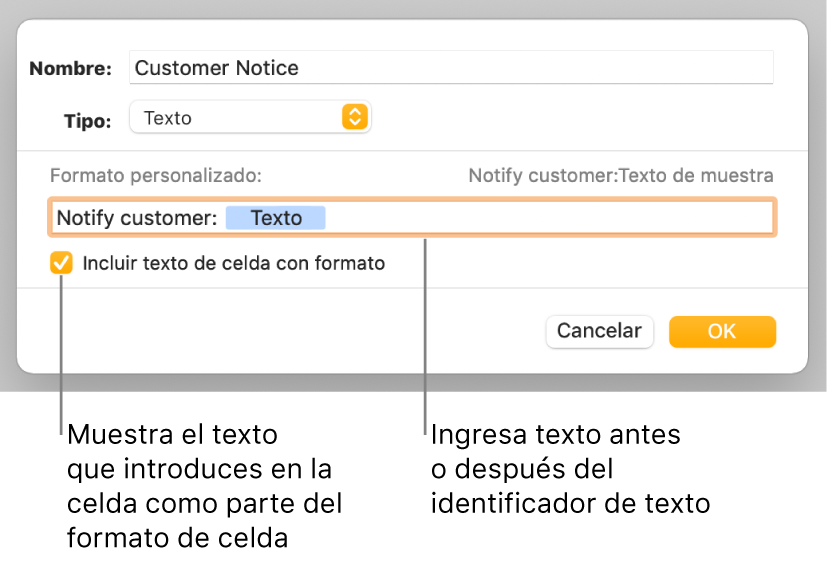 La ventana de formato de celda personalizado con controles para seleccionar formatos de texto personalizados.