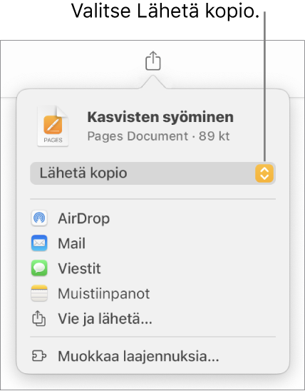 Jaa-valikko, jossa on ylhäällä valittuna Lähetä kopio.