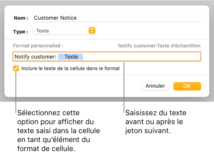 Fenêtre de format de cellule personnalisé présentant les commandes permettant de choisir un format de texte personnalisé.