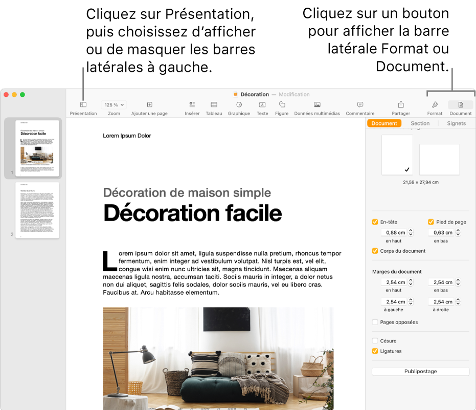 La fenêtre Pages, accompagnée de légendes traitant du bouton du menu Présentation et des boutons Format et Document dans la barre d’outils. Les barres latérales sont visibles à gauche et à droite.