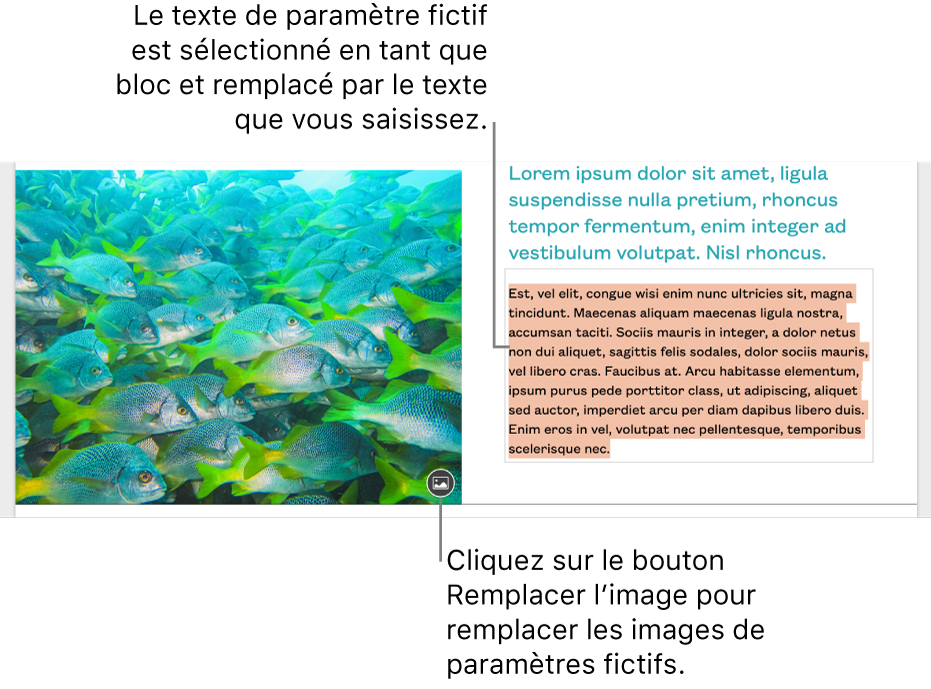 Texte et images de paramètre fictif.