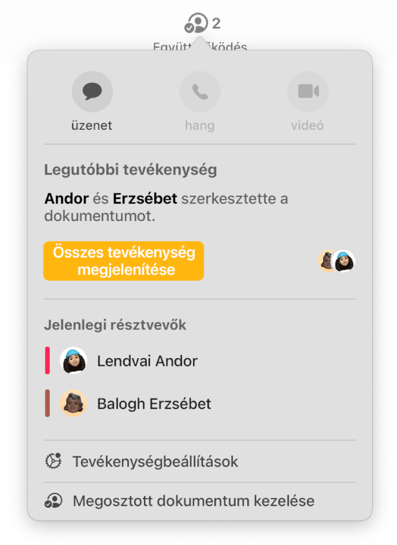 Az együttműködés menü, amelyben a dokumentumon együttműködő személyek nevei láthatók.
