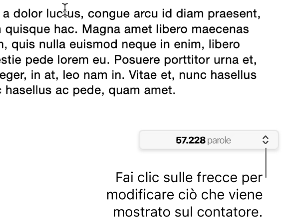 Menu del conteggio parole che mostra il numero di parole nel documento.