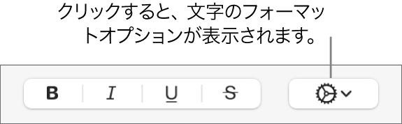 「ボールド」、「イタリック」、「アンダーライン」、および「取り消し線」ボタンの右に「その他のテキストオプション」ポップアップメニューがあります。