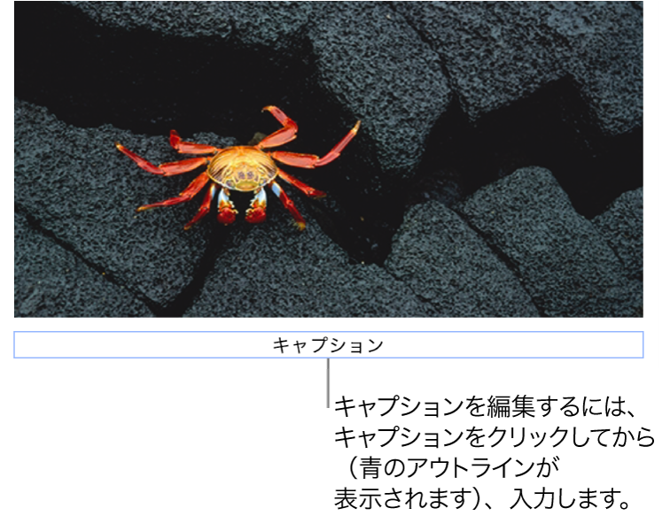 写真の下に「キャプション」というプレースホルダキャプションが表示され、キャプションフィールドが青い外枠で囲まれて、選択されていることが示されている状態。