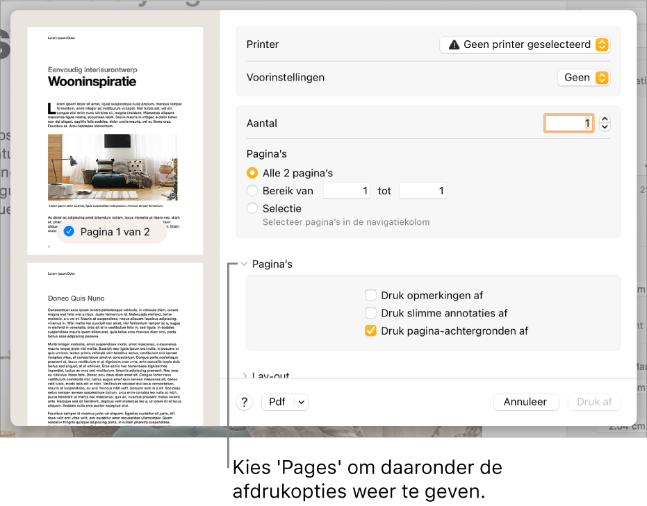 Afdrukvenster met regelaars voor de printer, voorinstellingen, het aantal exemplaren en het paginabereik. 'Pages' is geselecteerd in het pop‑upmenu onder de instellingen voor het paginabereik. Daaronder staan aankruisvakken voor het afdrukken van opmerkingen, slimme annotaties en pagina-achtergronden.