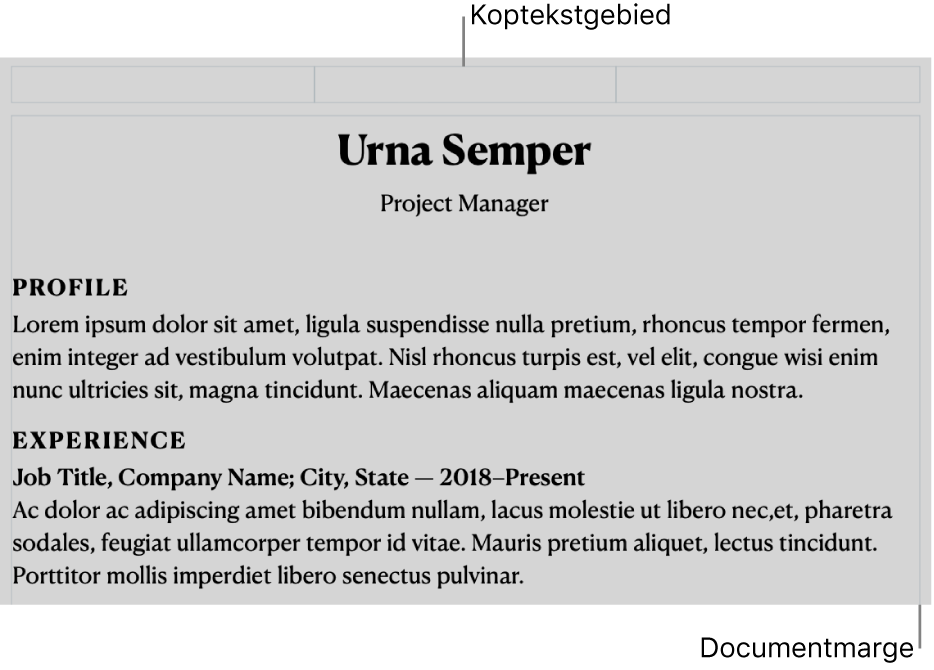 Lay-outweergave met koptekstgebied en documentmarges.