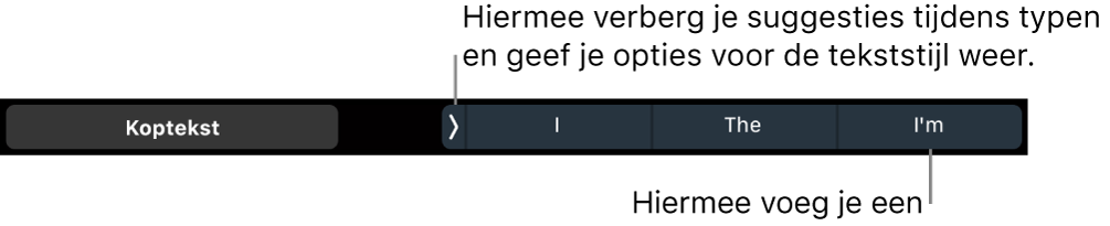 De Touch Bar op een MacBook Pro met regelaars voor het kiezen van een tekststijl, het verbergen van suggesties tijdens het typen en het invoegen van suggesties.