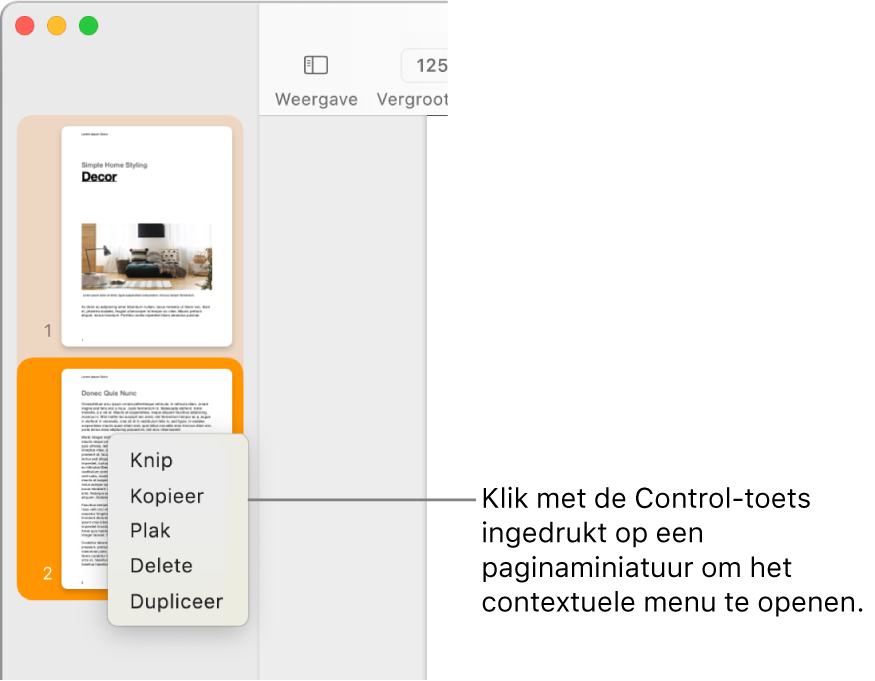 De paginaminiatuurweergave waarin een miniatuur is geselecteerd en het contextuele menu is geopend.