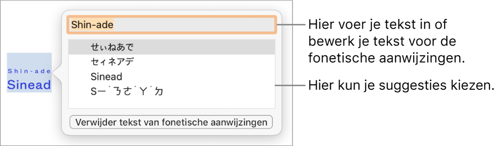 De fonetische aanwijzingen voor een woord, met uitleg bij het tekstveld en de voorgestelde tekst.