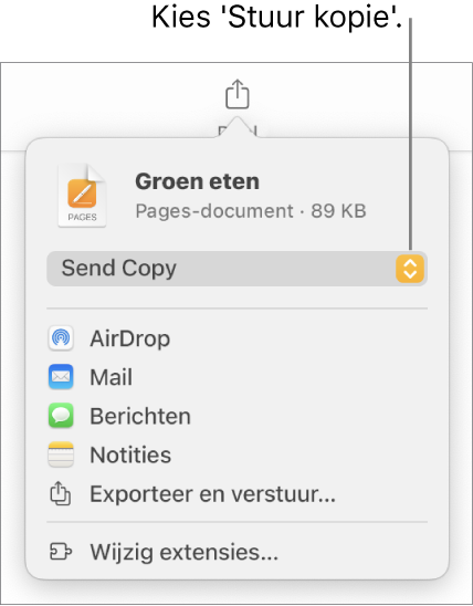 Het Deel-menu waarin bovenin 'Stuur kopie' is geselecteerd.