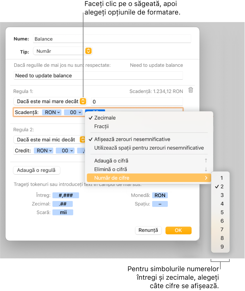 Fereastra de formatare personalizată a celulei cu comenzi pentru alegerea opțiunilor personalizate de formatare.