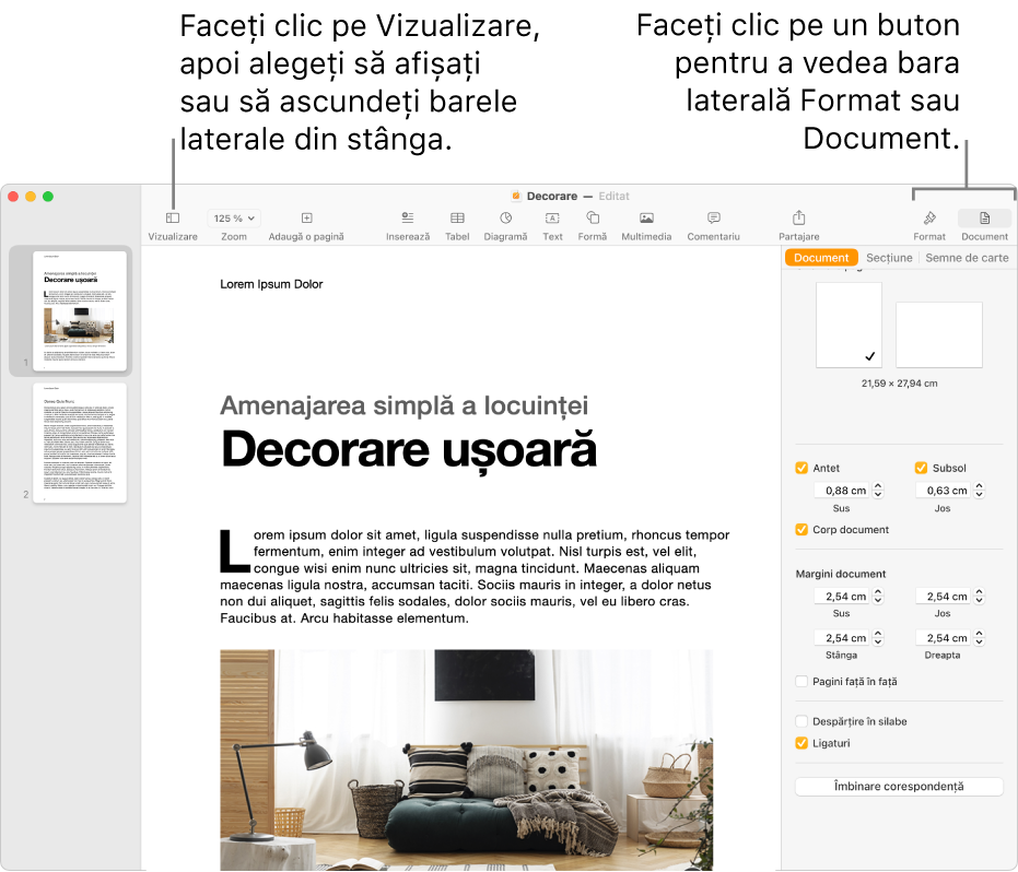 Fereastra Pages cu explicații pentru butonul meniului Vizualizare și butoanele Format și Document din bara de instrumente. Barele laterale se deschid în partea stângă și în partea dreaptă