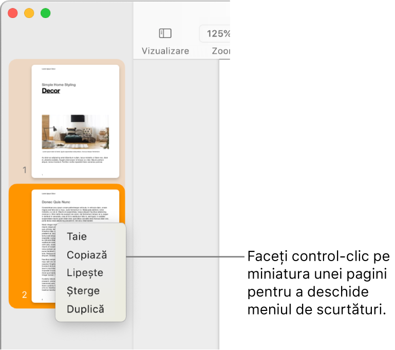 Vizualizarea miniaturilor paginilor cu o miniatură selectată și meniul de scurtături deschis.