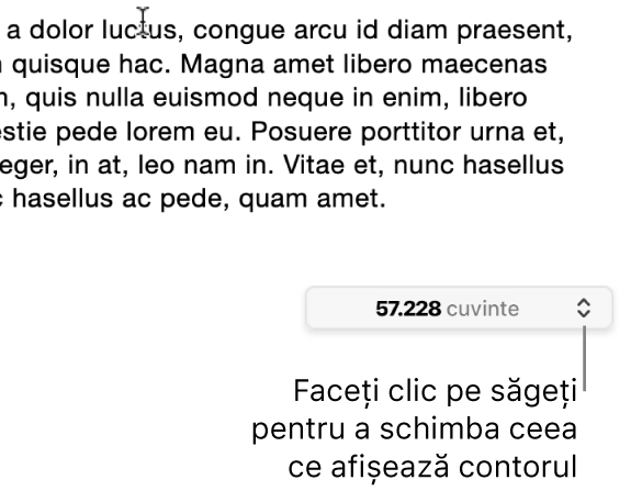 Meniul cu numărul de cuvinte afișând numărul de cuvinte din document.