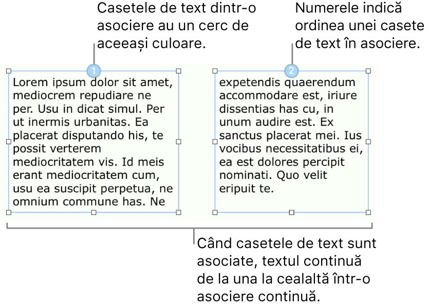 Două casete de text cu cercuri albastre în partea de sus și numerele 1 și 2 în cercuri.