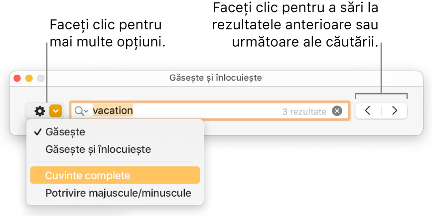 Fereastra Găsește și înlocuiește cu meniul pop-up afișând opțiunile Găsește, Găsește și înlocuiește, Cuvinte complete și Majuscule/minuscule. Săgețile din dreapta vă permit să treceți la rezultatele anterioare sau următoare ale căutării.