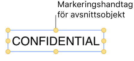 Ett objekt med markeringshandtag.