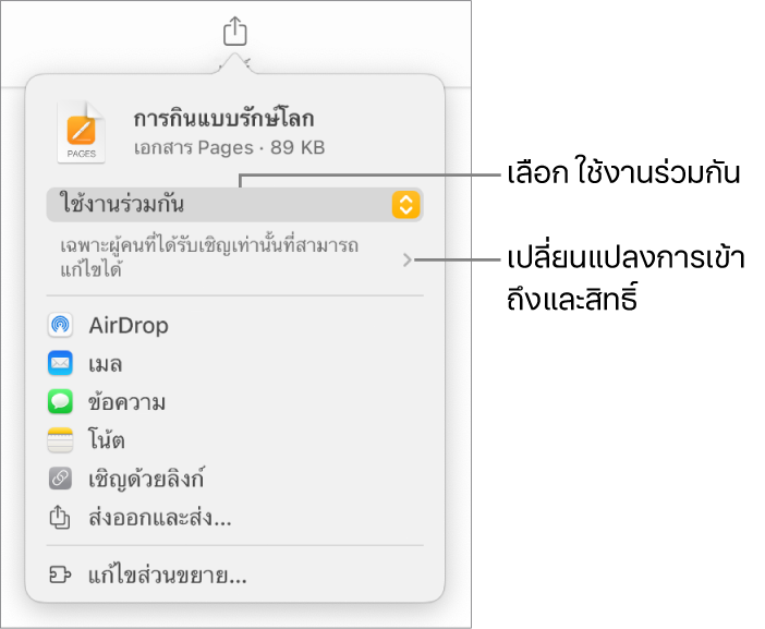 เมนูแชร์ที่มีใช้งานร่วมกันถูกเลือกอยู่ที่ด้านบนสุด และการตั้งค่าการเข้าถึงและสิทธิ์อยู่ที่ด้านล่าง