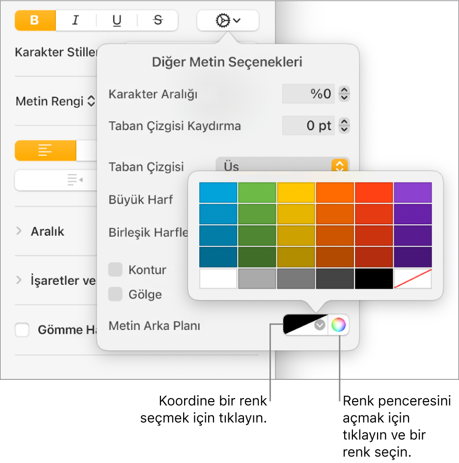 Metin için arka plan rengi seçme denetimleri.