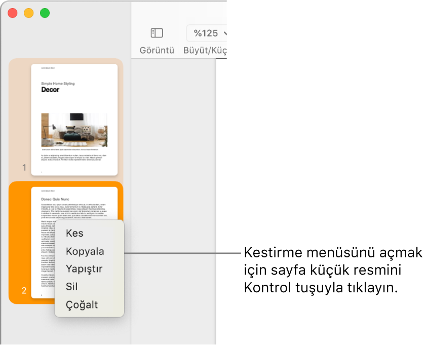 Seçili bir küçük resim ve kestirme menüsü açık olarak Sayfa Küçük Resimleri görüntüsü.