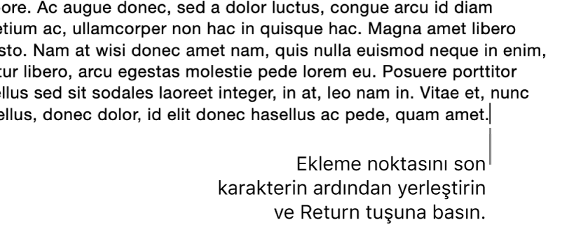 Paragrafın son cümlesindeki nokta işaretinden sonra yerleştirilmiş ekleme noktası.